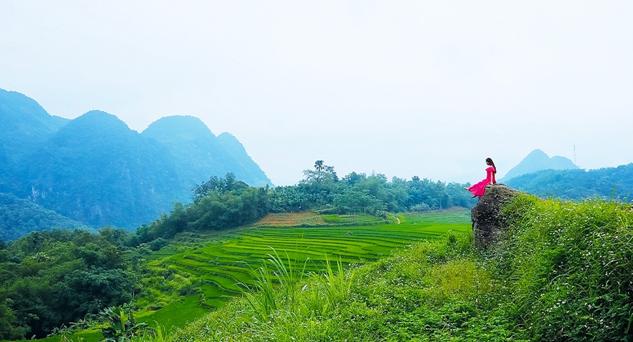 Day 1: Hanoi – Pu Luong 170km (Easy Trek To Enjoy Nature) (Lunch, Dinner)